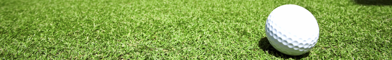 This is a generic image, it is NOT an image of Sea & Air Golf Course go-mexico.com Travel Info